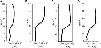 Stratified Saline Flume Experiments on the Entrainment Process of the Atmospheric Convective Boundary Layer With Vertical Wind Shear